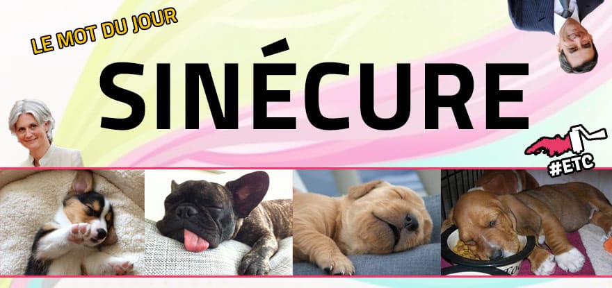 le-mot-du-jour-sinecure